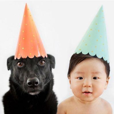 Những loại bệnh bé dễ nhiễm từ vật nuôi trong nhà 3