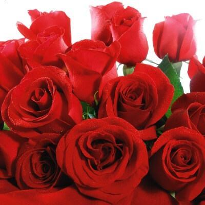 Tặng quà gì cho chồng ngày Valentine 2015? 12