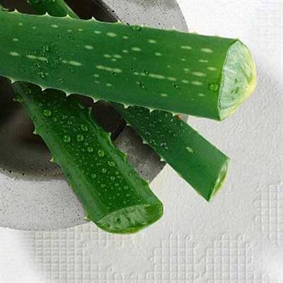 4 loại nước ép giúp “dẹp loạn” những nốt mụn đáng ghét 3
