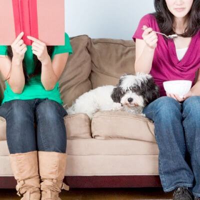 "Giặc bên Ngô không bằng bà cô bên chồng" 3