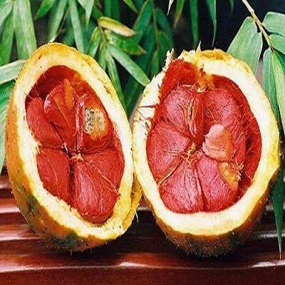 Những bài thuốc dân gian trị quai bị dễ kiếm 3