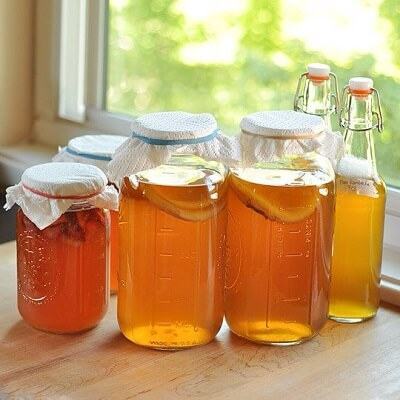Trà Kombucha phòng trị nhiều căn bệnh nguy hiểm 3