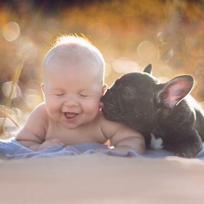 Tình cảm trong sáng, vô điều kiện của bé trai và chú chó bull 4