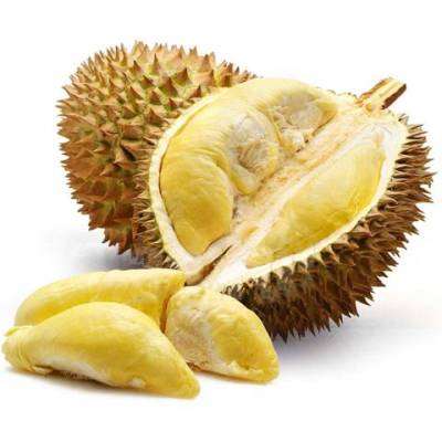 Mẹ bầu có nên ăn sầu riêng? 3