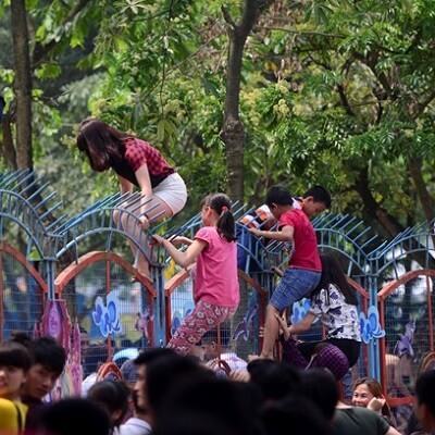 Miễn phí và vấn đề dạy con xung quanh câu chuyện công viên nước 5
