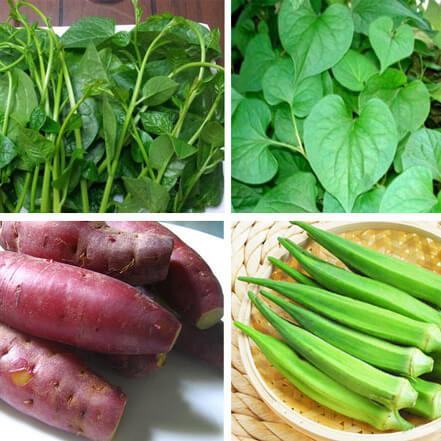 Top những thực phẩm tốt cho người bị bệnh trĩ 3