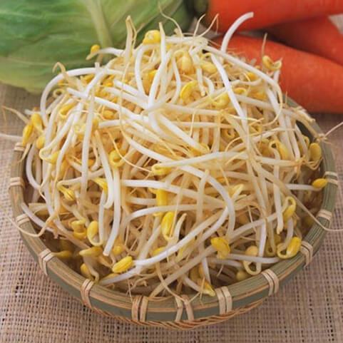 Da sáng dáng thon nhờ giá đỗ 3