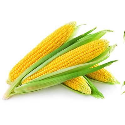 Những lợi ích bất ngờ ít ai biết của bắp ngô đối với sức khỏe 5