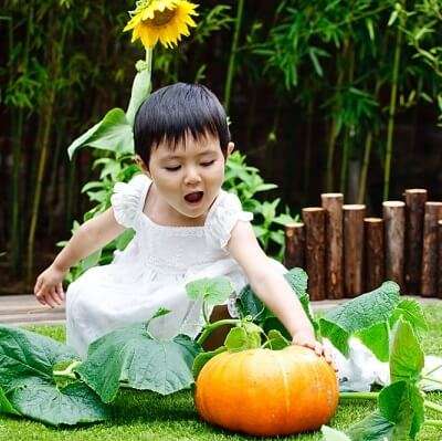 Lợi ích tuyệt vời khi dạy con trồng cây 10
