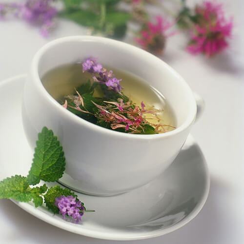 Ích mẫu "thần dược" sức khỏe và sắc đẹp của chị em 3