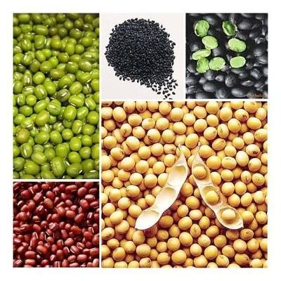 Tăng kích thước vòng 1 bằng bột đậu tự nhiên hiệu quả tại nhà 6