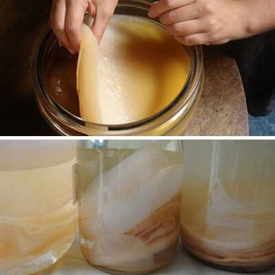 Học lỏm bí quyết nuôi giấm tại nhà khỏi lo hóa chất 6