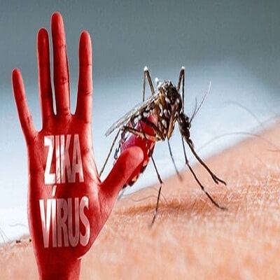 Cách ngăn ngừa vi rút Zika lan truyền trong cộng đồng 5