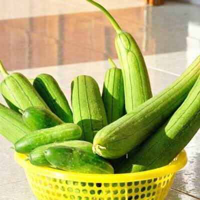 Quả mướp “thần dược” của sức khỏe và sắc đẹp 5