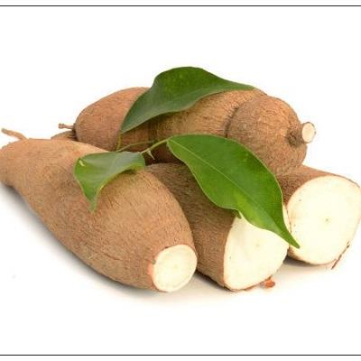 Củ mì mang đến vô vàn lợi ích cho sức khỏe 4