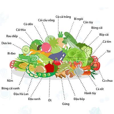 Infographic: Top thực phẩm tốt cho sức khỏe và vóc dáng 4