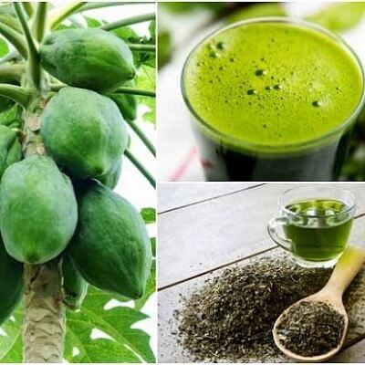 Tin vui: Đu đủ xanh có thể hỗ trợ chữa khỏi bệnh gút 3