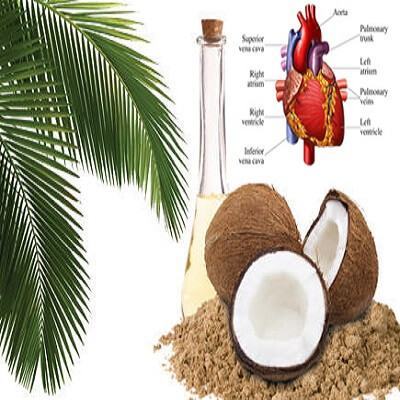 7 lợi ích sức khỏe đã được chứng minh của dầu dừa 3