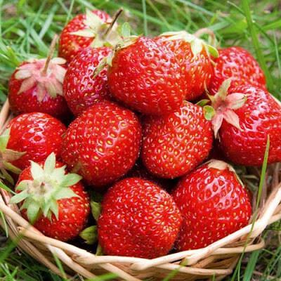 8 nhóm thực phẩm vợ chồng càng ăn càng “sung” trên giường 8