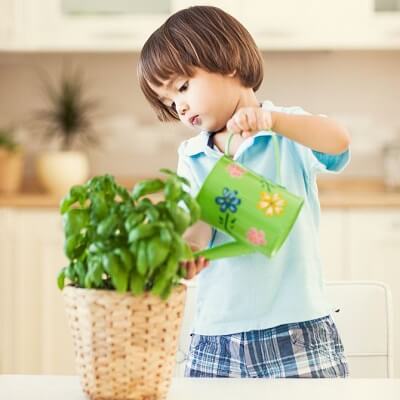 Tập cho con biết làm việc nhà ngay từ nhỏ 3