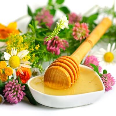 Top 10 loại “dược liệu” tự nhiên siêu tốt cho bé 13