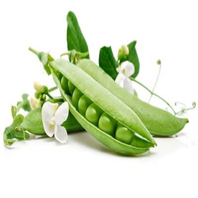 Đậu Hà Lan sẽ tươi xanh suốt 3 tháng với cách làm này 10