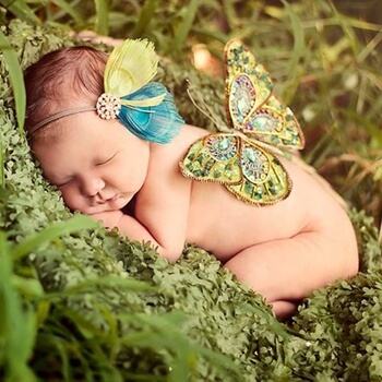 Cách làm gối lá đinh lăng chống đổ mồ hôi trộm cho bé 5