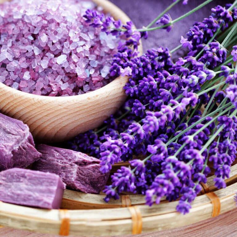 Đặt 5 loại cây này trong phòng ngủ sẽ giúp bạn dễ ngủ hơn 3