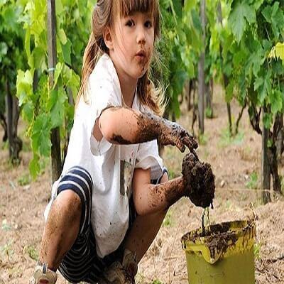 Trẻ mắc chứng bệnh lạ ăn đất, đá, gỗ như ăn cơm 6