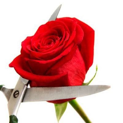 29 tuổi không muốn sinh con vì sợ... ly hôn 2