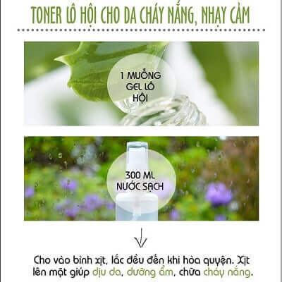 Mùa hè "giải nhiệt" cho da và tóc bằng lô hội 8
