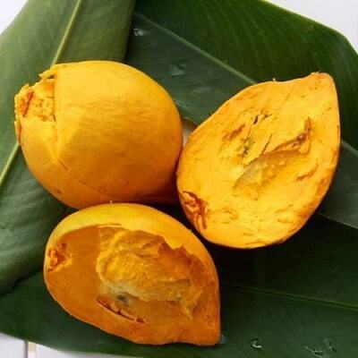 Trắng bóc như trứng gà với hỗn hợp được làm từ trái lê ki ma 5