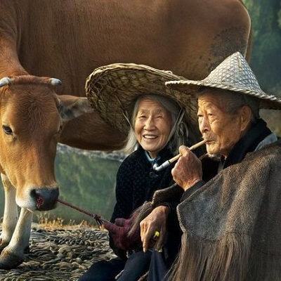 9 cách lựa chọn của người xưa để có một cuộc đời bình an 6