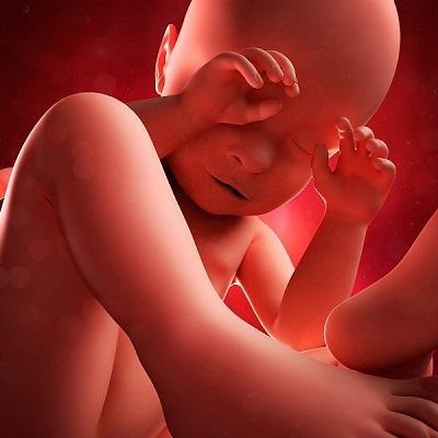 Mẹ bầu đừng lơ là 4 yếu tố ảnh hưởng rất lớn đến thai nhi 3