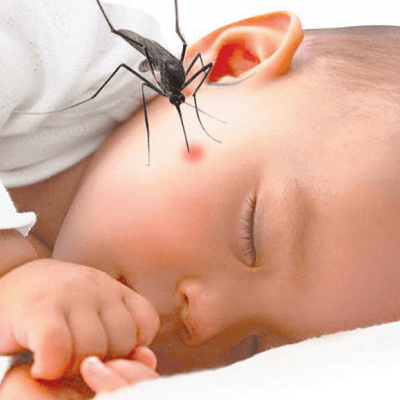 Oái, con bị con trùng cắn rồi mẹ ơi! Chuyện tưởng chừng như rất nhỏ 3