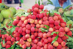 Quả vải món ăn Tết Đoan Ngọ