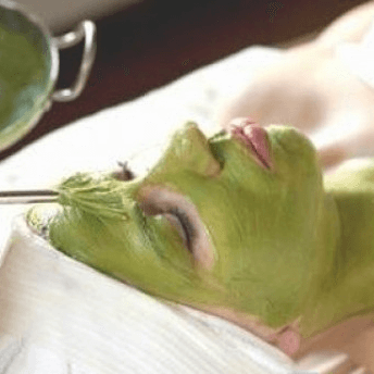 Trắng hồng toàn thân với công thức đơn giản từ lá ngải cứu 4