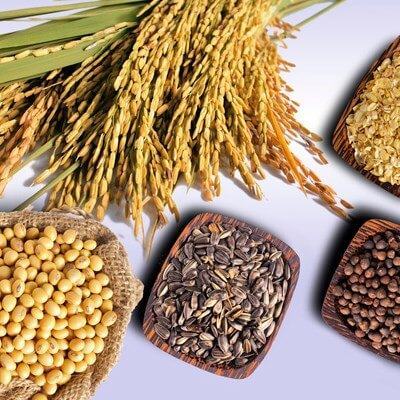 Lý do thuyết phục mẹ bầu nên bổ sung 10 thực phẩm này vào trong thực đơn hàng ngày 8