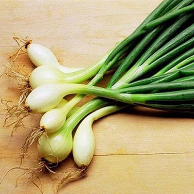 5 lợi ích tuyệt vời khi bạn ăn hành lá 4