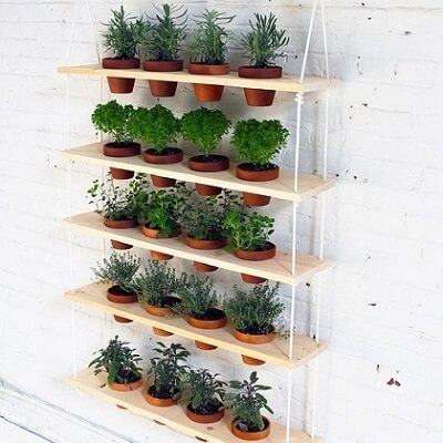 Ngất ngây với 10 kiểu trồng rau siêu đẹp, siêu tiết kiệm diện tích với gỗ pallet 13