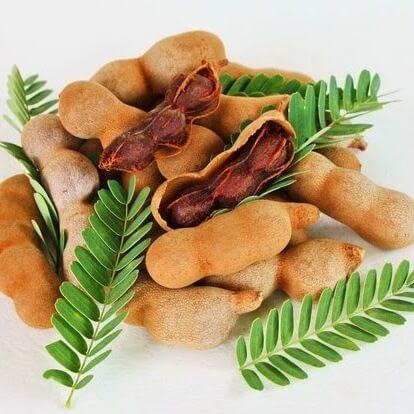 Vô vàn công dụng làm đẹp diệu kỳ từ trái me 4