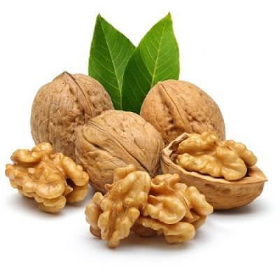 Quả óc chó tốt cho bé như thế nào? 4