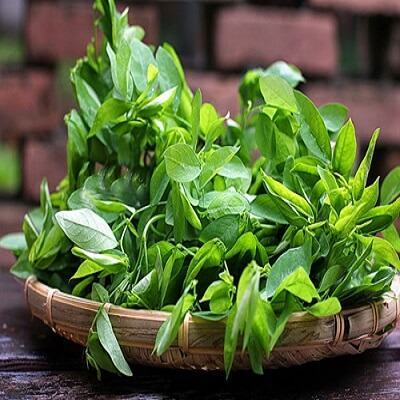 Thực đơn giảm cân "thần tốc" với rau ngót 3