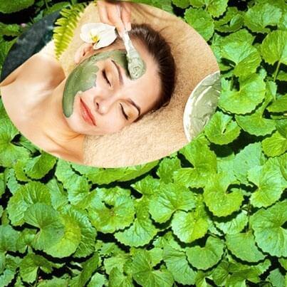 Công thức đánh bật sẹo mụn lâu năm bằng rau má 4