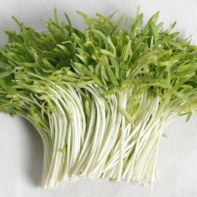 Những tác dụng không ngờ của rau mầm 3