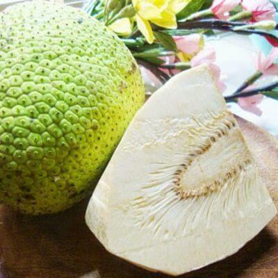 Lợi ích bất ngời từ quả sa kê 3