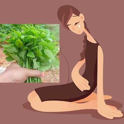 Điểm mặt những loại rau bà bầu không nên ăn trong thai kỳ 3