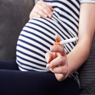 Khói thuốc lá khiến gan thai nhi khó phát triển 4