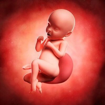 Vì sao bé yêu của mẹ cứ "thức ngày cày đêm"? 3