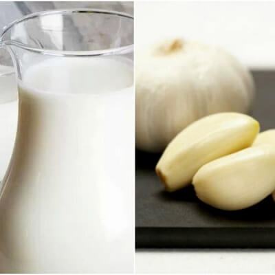 Liệu pháp từ sữa tỏi giúp bạn chữa khỏi 7 loại bệnh 4